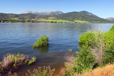 IMG_8650.jpg