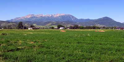 IMG_8658.jpg