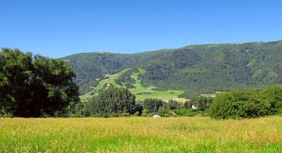 IMG_8670.jpg