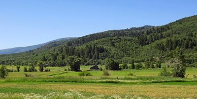 IMG_8682.jpg
