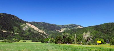 IMG_8685.jpg