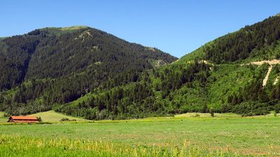 IMG_8687.jpg