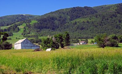 IMG_8694.jpg