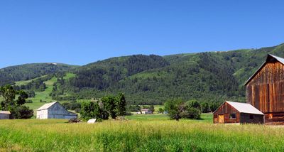 IMG_8695.jpg