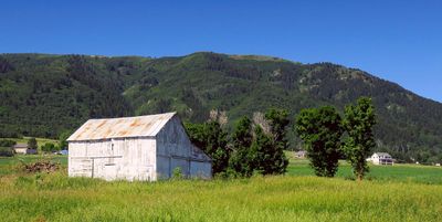 IMG_8696.jpg