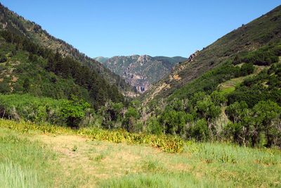 IMG_8738.jpg