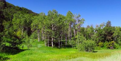 IMG_8739.jpg