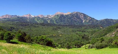 IMG_8742.jpg