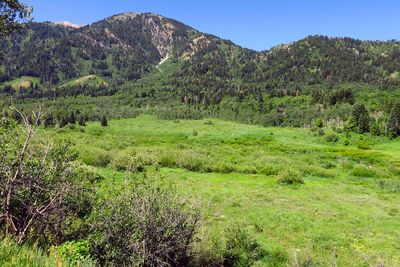 IMG_8745.jpg
