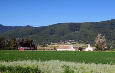 IMG_8765.jpg