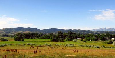 IMG_8808.jpg