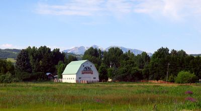 IMG_8809.jpg