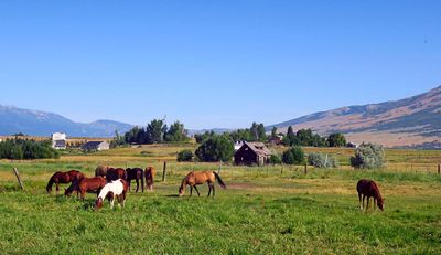 IMG_8814.jpg