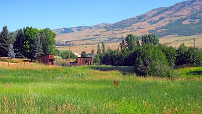 IMG_8832.jpg