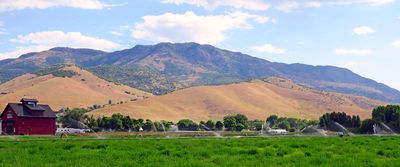 IMG_8849.jpg