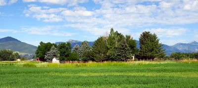 IMG_8851.jpg