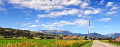IMG_8861.jpg