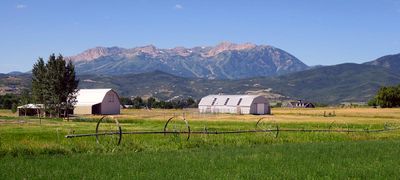 IMG_8870.jpg