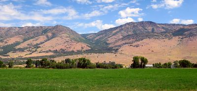 IMG_8875.jpg