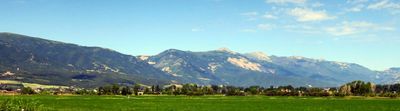 IMG_8876.jpg