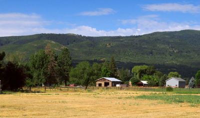 IMG_8894.jpg