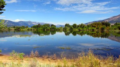 IMG_8976.jpg