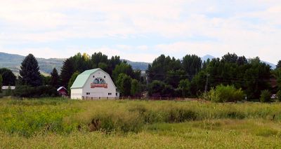 IMG_8981.jpg