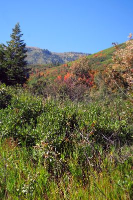 IMG_9075.jpg