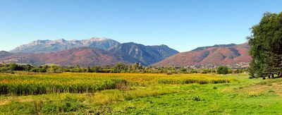 IMG_9096.jpg