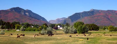 IMG_9100.jpg