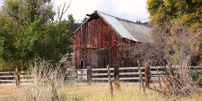 5DSR8971.jpg