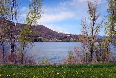 IMG_0503.jpg