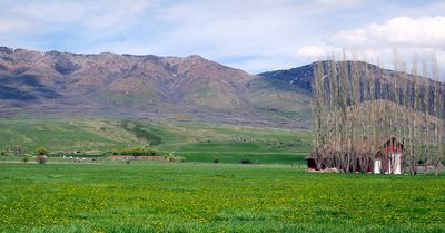 IMG_0516.jpg