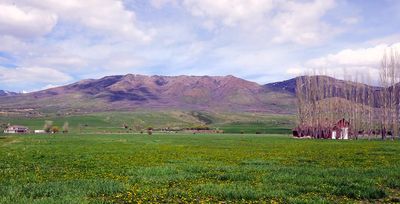 IMG_0517.jpg