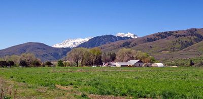 IMG_0551.jpg
