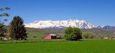 IMG_0563.jpg