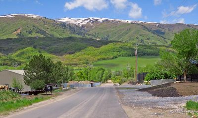 IMG_0704.jpg
