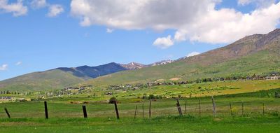 IMG_0708.jpg