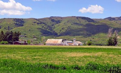 IMG_0726.jpg