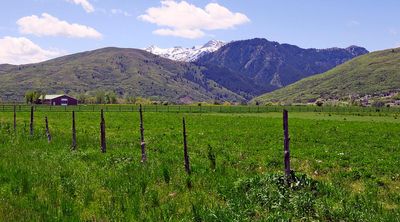 IMG_0728.jpg