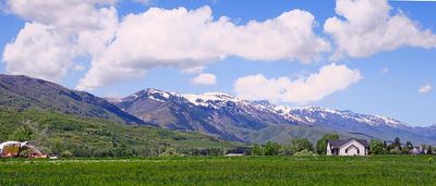 IMG_0736.jpg