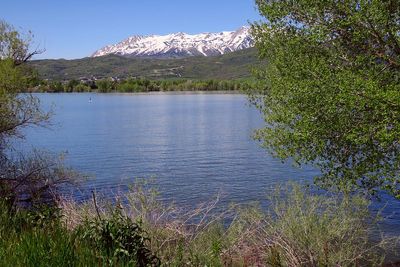 IMG_0746.jpg
