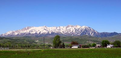 IMG_0751.jpg
