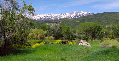 IMG_0760.jpg