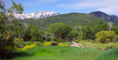 IMG_0762.jpg