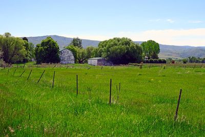 IMG_0766.jpg