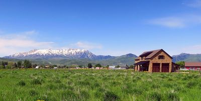 IMG_0767.jpg