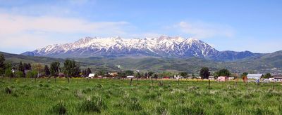 IMG_0770.jpg