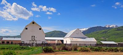 IMG_0779.jpg