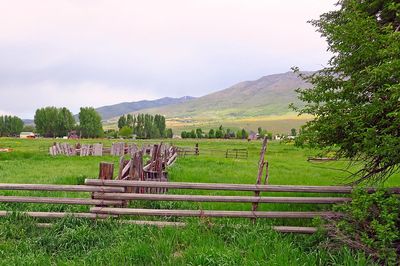 IMG_0791.jpg